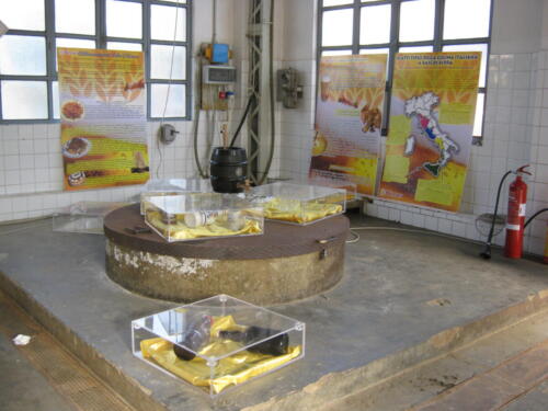 IMG 0597 (1)